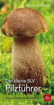 Der kleine BLV Pilzführer