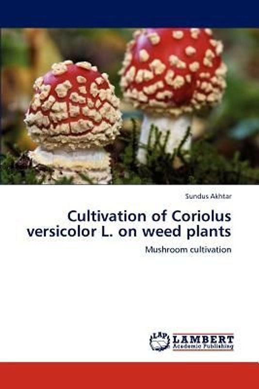 Cultivation of Coriolus versicolor L. on weed plants