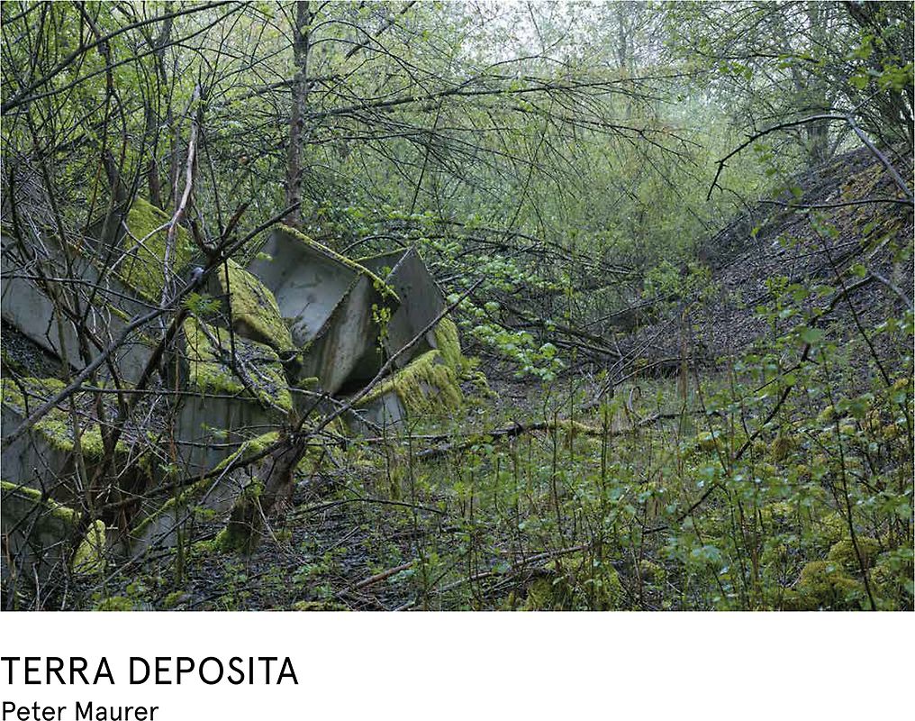 Peter Maurer – Terra Deposita