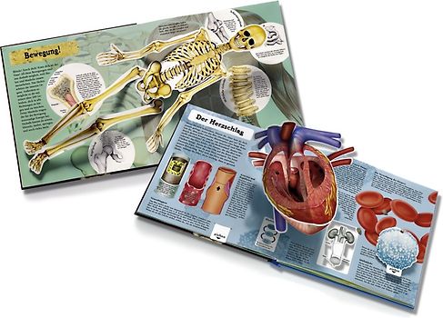 Menschlicher Körper - Pop-up-Buch
