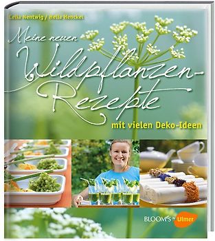Meine neuen Wildpflanzen-Rezepte