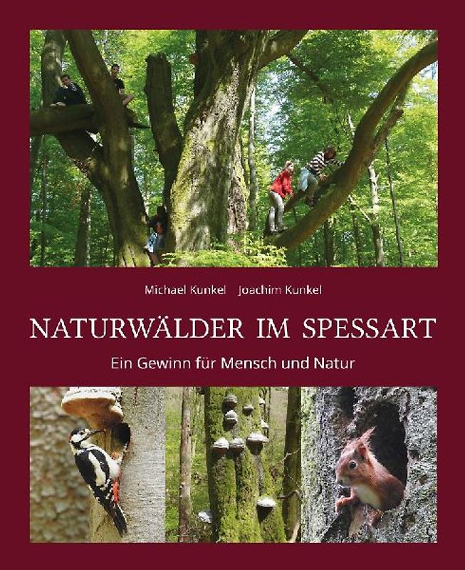 Naturwälder im Spessart