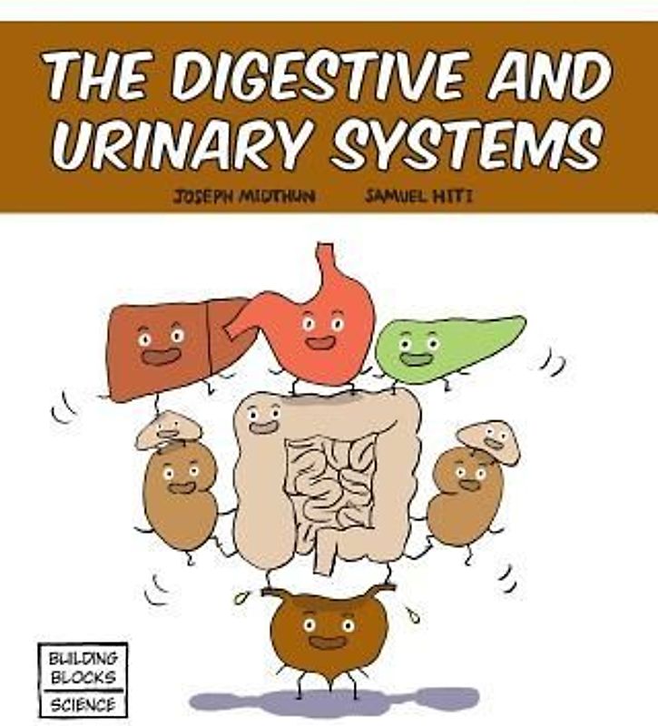 The Digestive and Urinary Systems