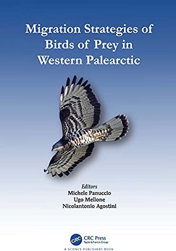 Migration Strategies of Birds of Prey in Western Palearctic