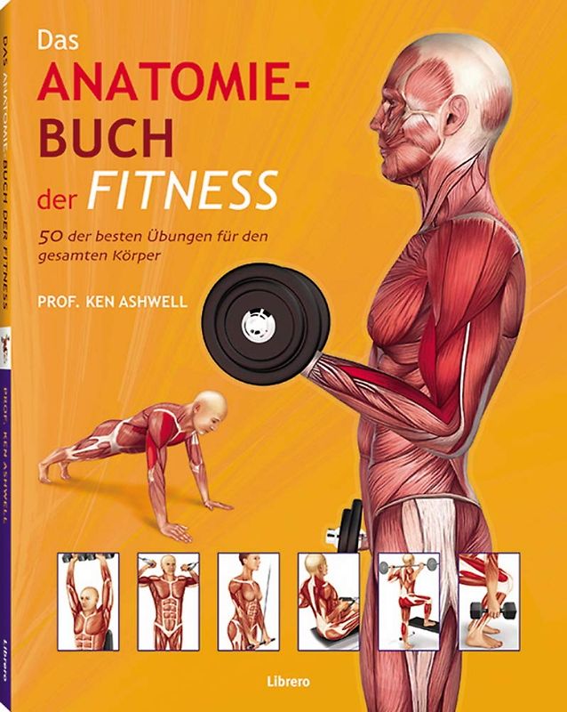 Das Anatomie-Buch der Fitness