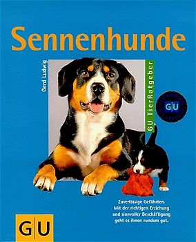 Sennenhunde. Zuverlässige Gefährten. Mit der richtigen Erziehung und sinnvoller Beschäftigung geht es ihnen rundum gut
