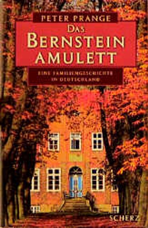 Das Bernstein-Amulett. Roman einer Familie in Deutschland
