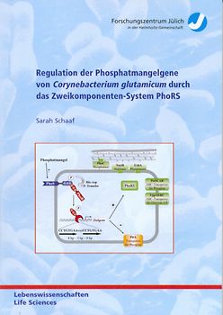 Regulation der Phosphatmangelgene von Corynebacterium glutamicum durch das Zweikomponenten-System PhoRS
