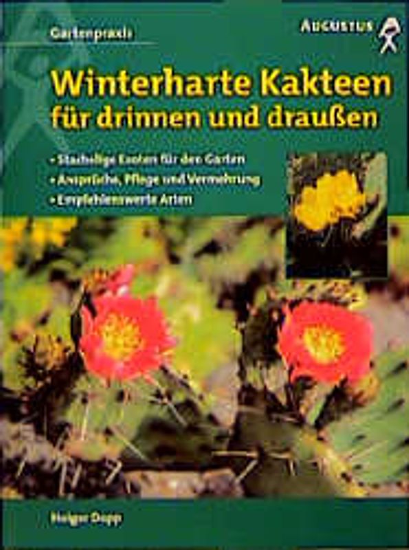 Winterharte Kakteen für drinnen und draussen