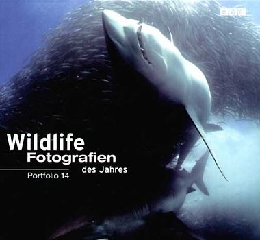 Wildlife-Fotografien des Jahres