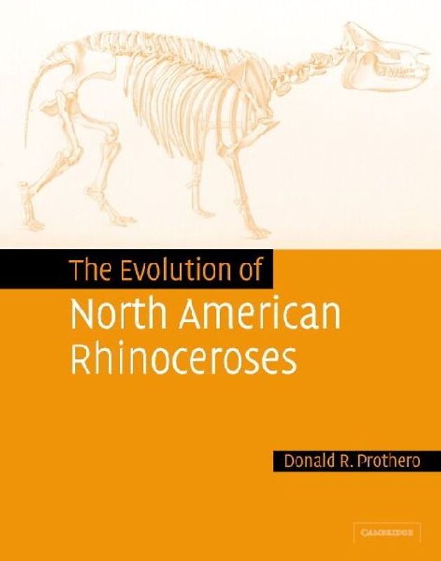 The Evolution of North American Rhinoceroses