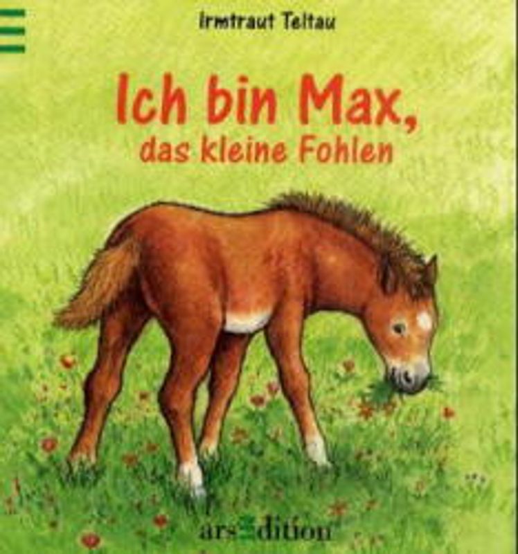 Ich bin Max, das kleine Fohlen