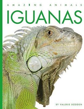Iguanas