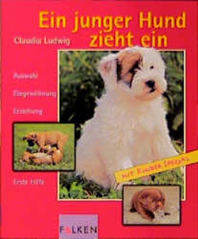 Ein junger Hund zieht ein