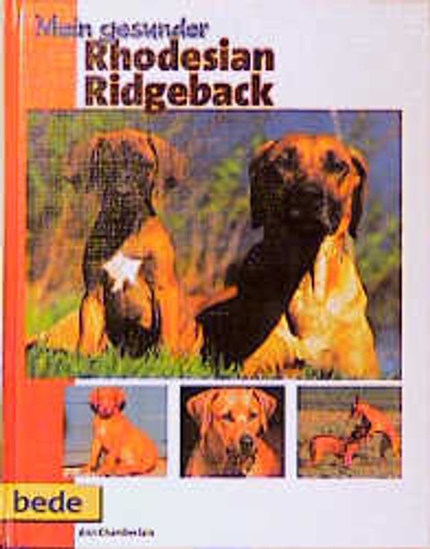 Mein gesunder Rhodesian Ridgeback