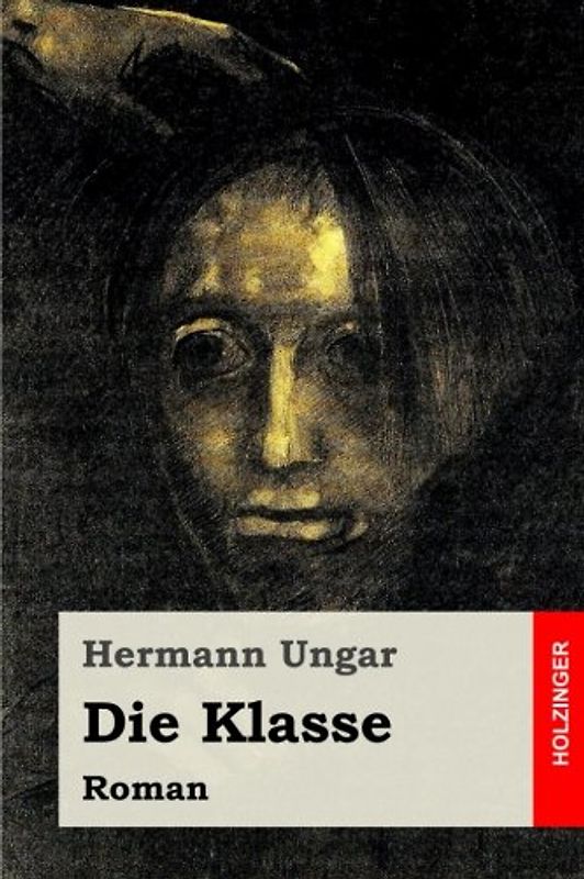 Die Klasse: Roman