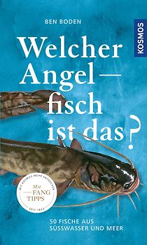 Welcher Angelfisch ist das?