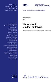 Panorama II en droit du travail