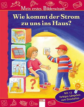 Wie kommt der Strom zu uns ins Haus?