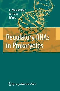 Regulatory RNAs in Prokaryotes