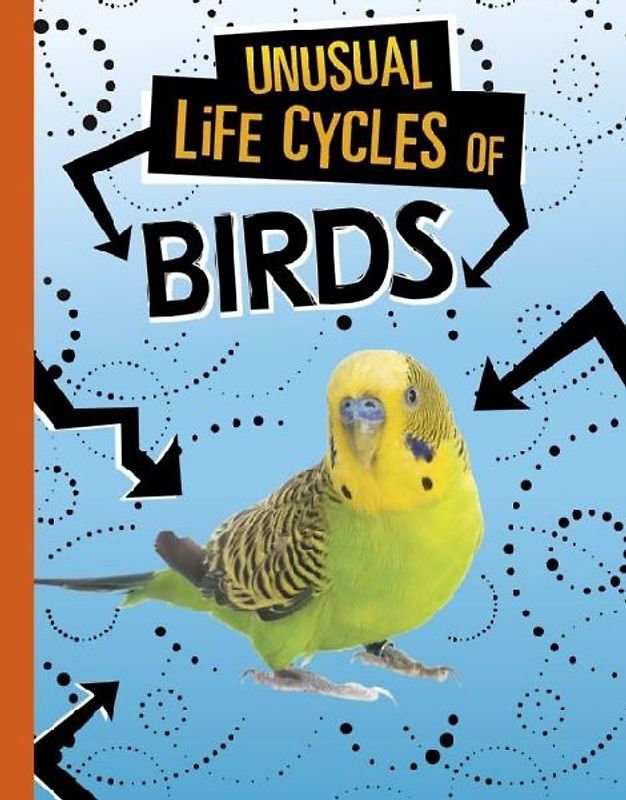 Unusual Life Cycles of Birds
