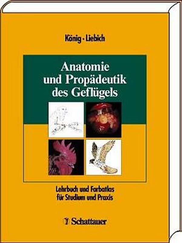 Anatomie und Propädeutik des Geflügels