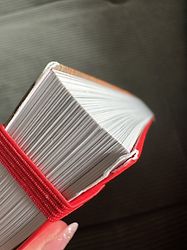 Kundenbild für Baedeker Reiseführer Ägypten