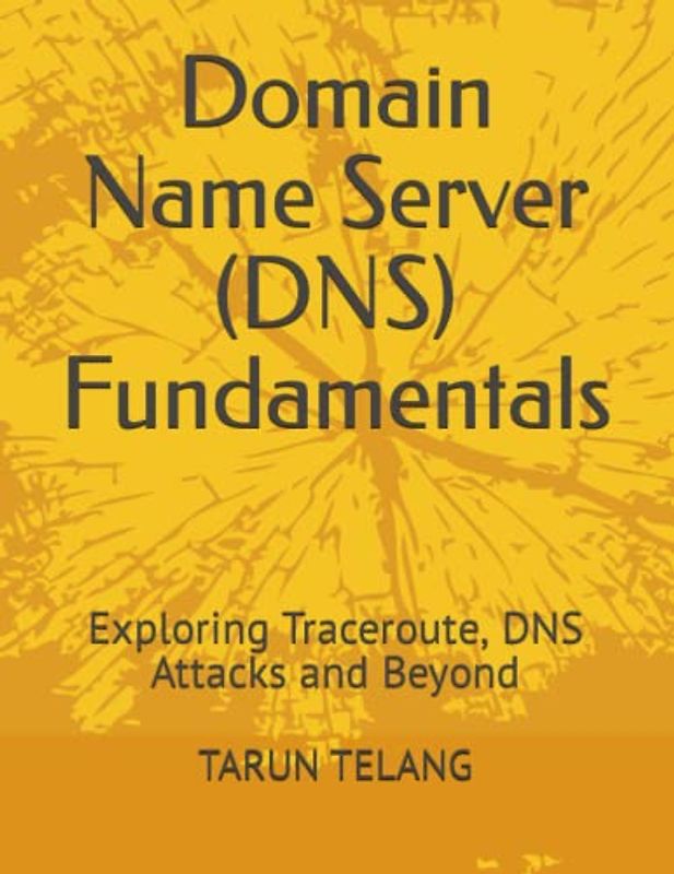 Domain Name Server (DNS) Fundamentals: Exploring Traceroute, DNS Attacks and Beyond