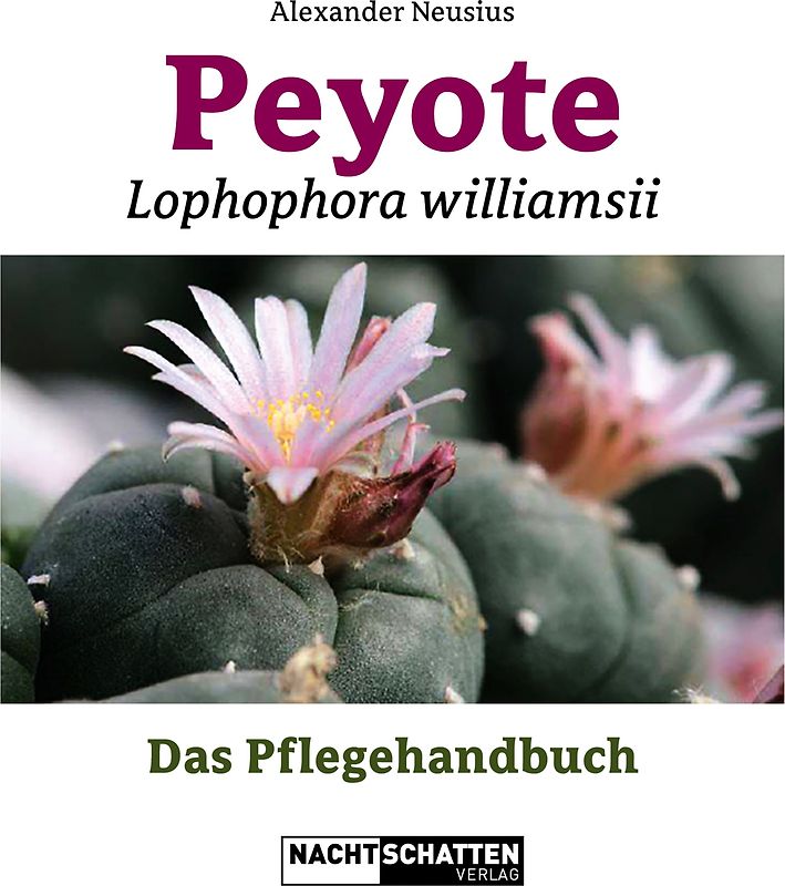 Peyote - Lophophora williamsii