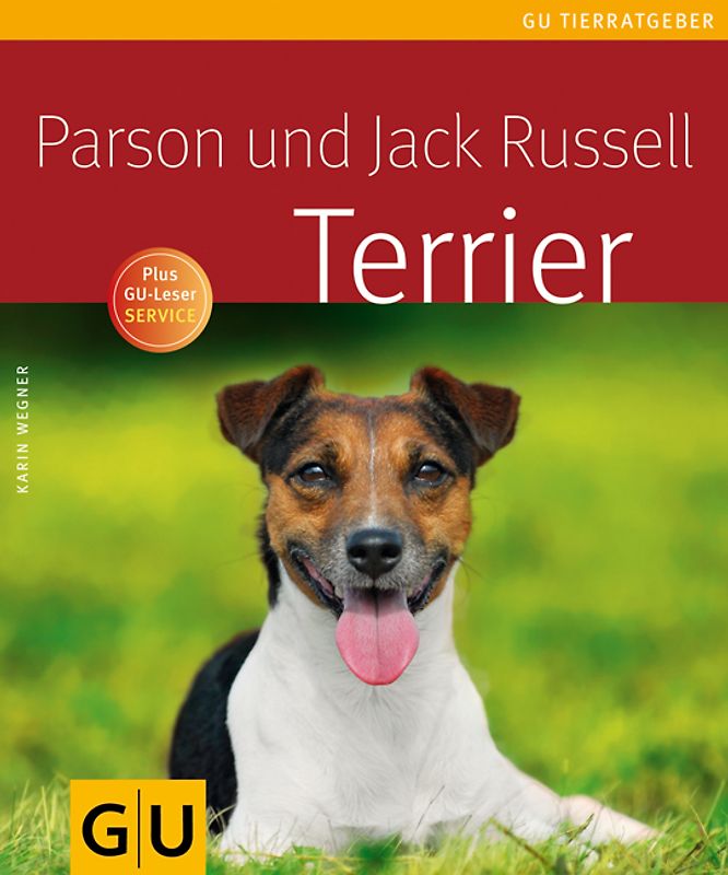 Parson und Jack Russell Terrier