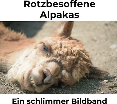Rotzbesoffene Alpakas: Ein schlimmer Bildband
