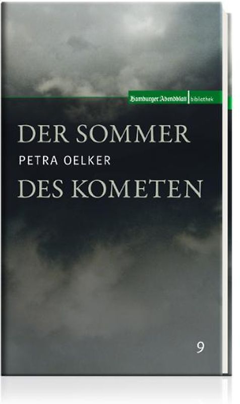Der Sommer des Kometen