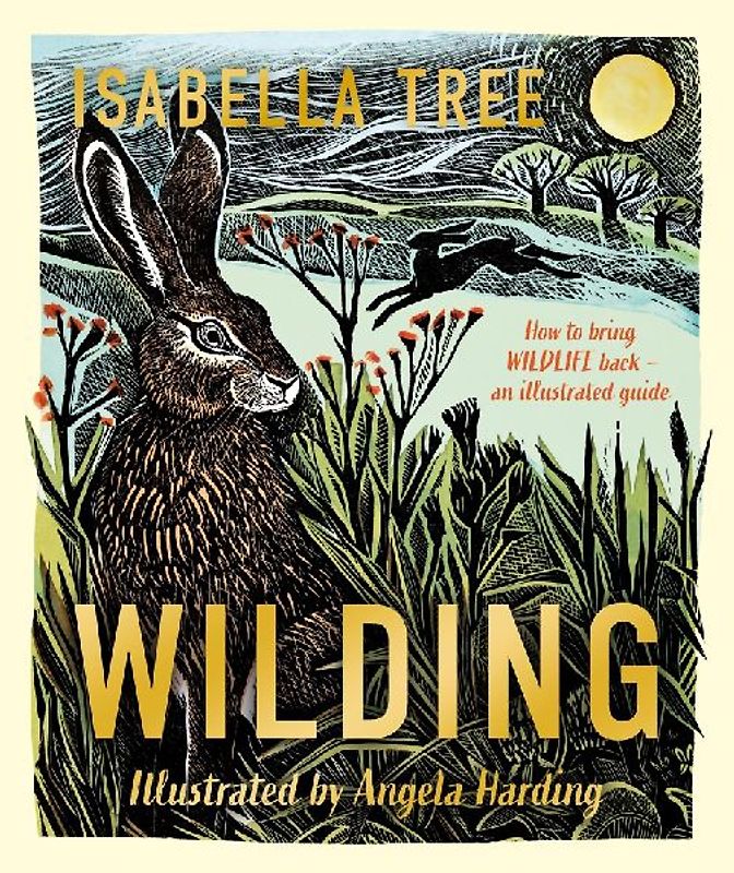 Wilding: How to Bring Wildlife Back - an Illustrated Guide