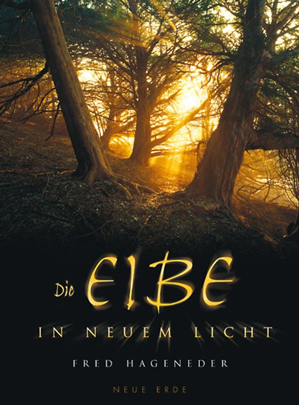 Die Eibe in neuem Licht