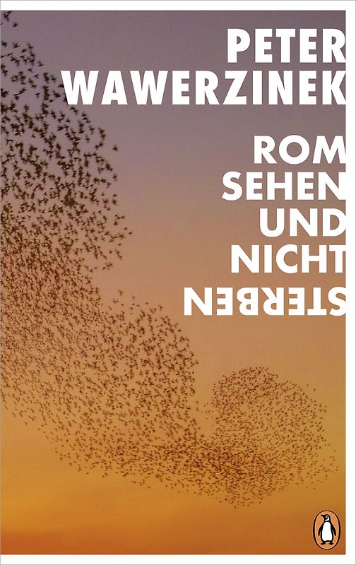 Rom sehen und nicht sterben
