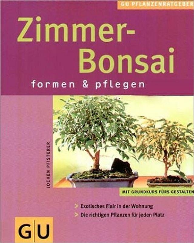Zimmer-Bonsai