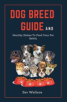 Dog Breed Guide and Healthy Dishes to Feed Your Pet Safely