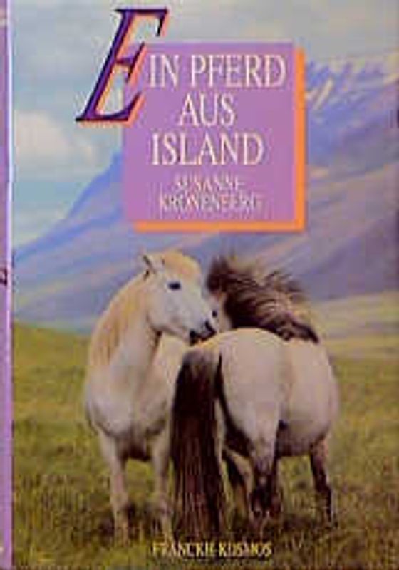 Ein Pferd aus Island