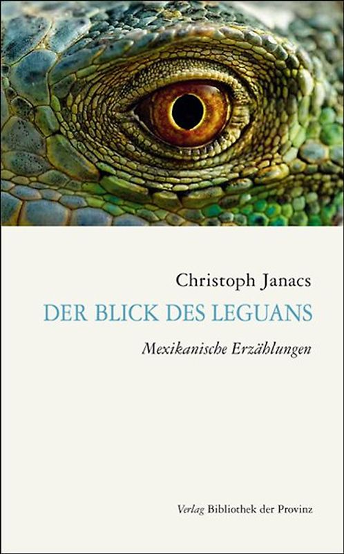 Der Blick des Leguans