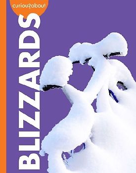 Curious about Blizzards