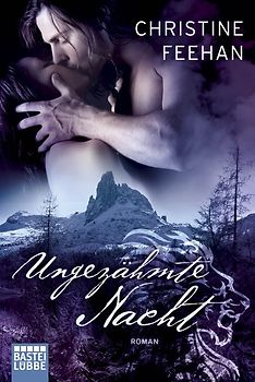 Ungezähmte Nacht. Roman