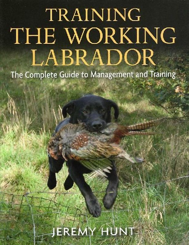 Training the Working Labrador