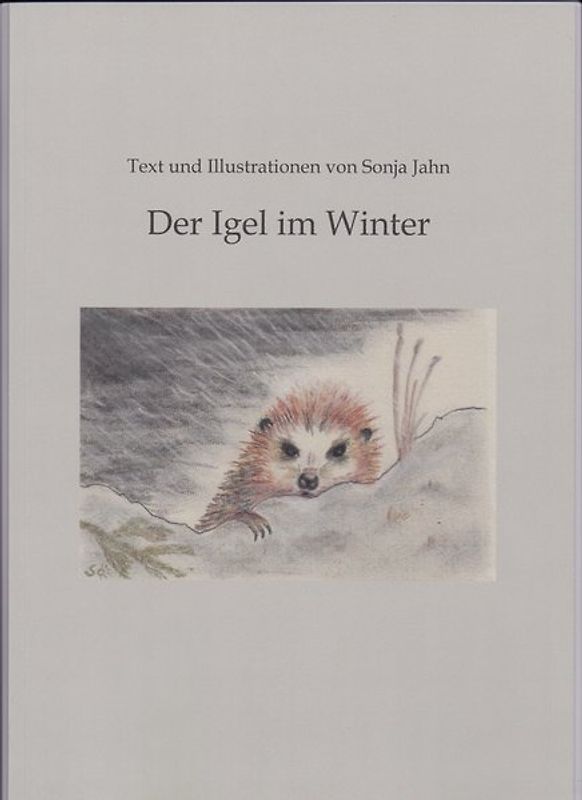 Der Igel im Winter