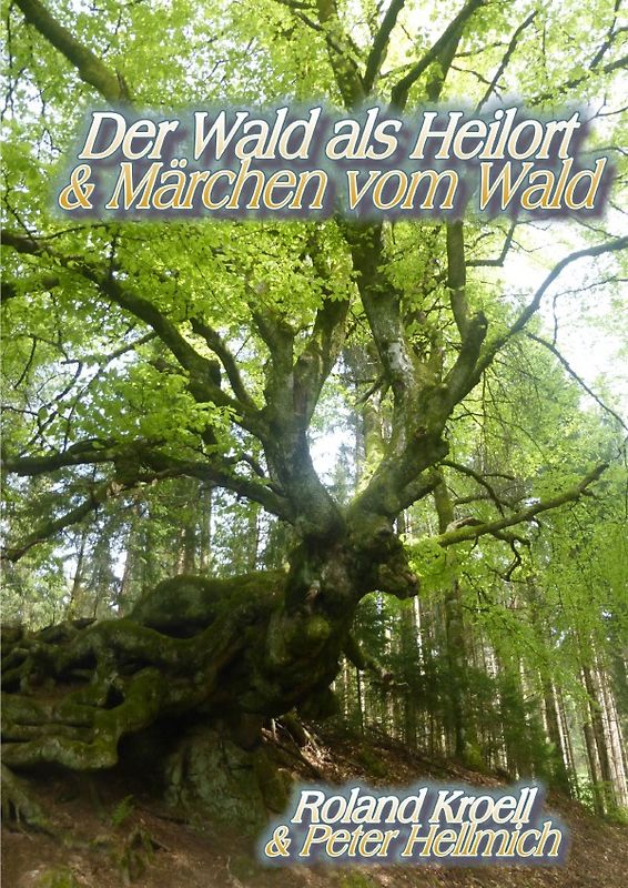 Der Wald als Heilort &amp; Märchen vom Wald