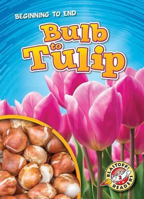 Bulb to Tulip