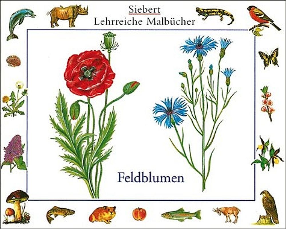 Feldblumen. Malbuch. Verpackungseinheit