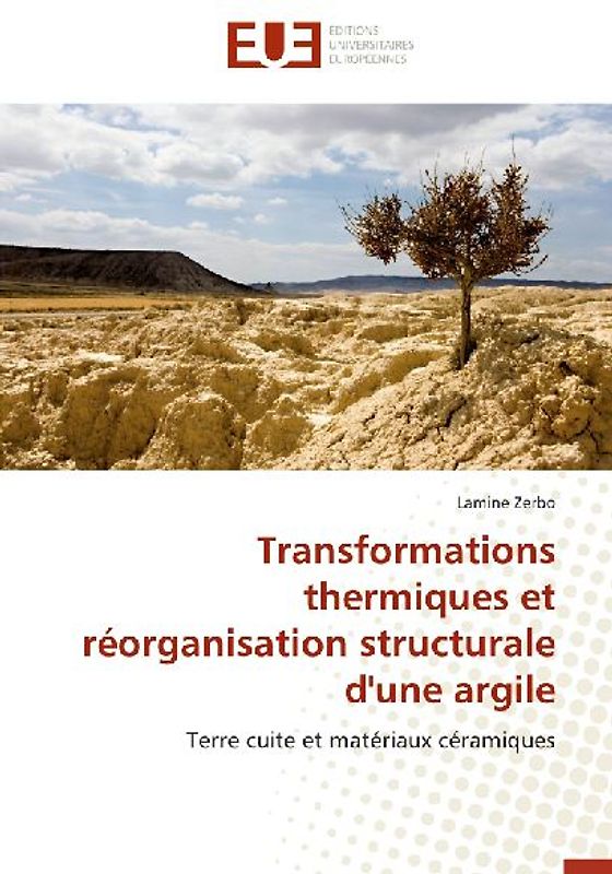 Transformations thermiques et réorganisation structurale d'une argile