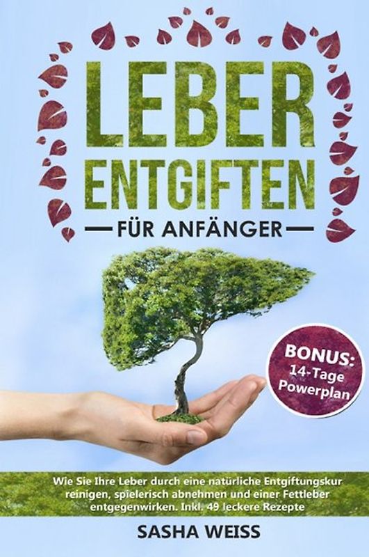 Leber entgiften für Anfänger