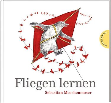 Fliegen lernen