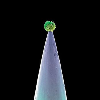 Peter Gabriel - New Blood